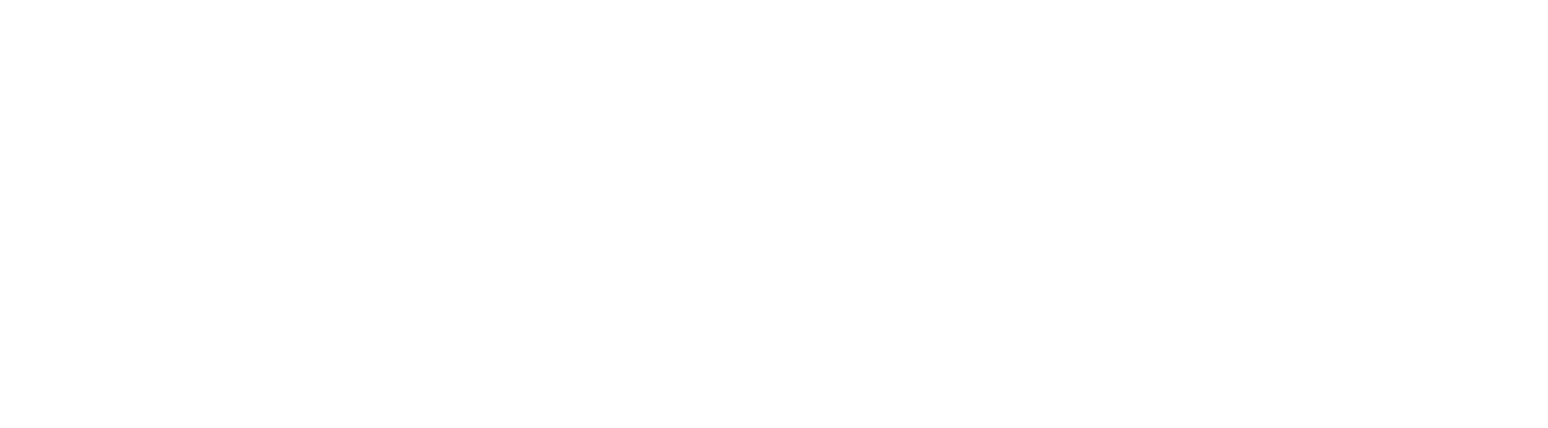 Palindrome Research Labs