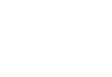 Palindrome Research Labs